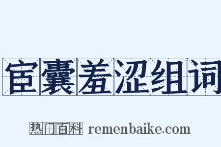 宦囊羞涩组词是什么意思的图片